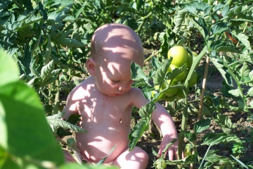 Teaching the young  where their food comes from