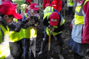 Junior wardens  planting rhubarb and fruit bushes