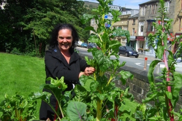 Picking veg from an IET roadside pop up garden
