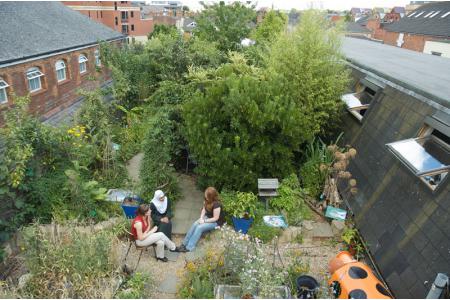 Aerial View of the Roof Garden