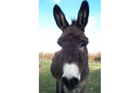 Larry, our most popular resident