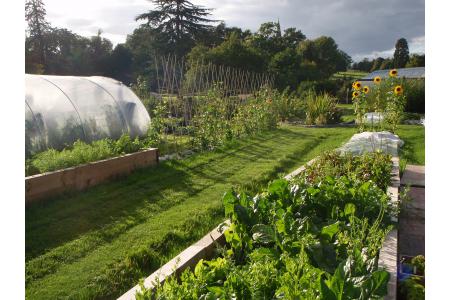Beautiful surroundings for gardening