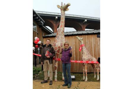 Come and visit our new giraffes