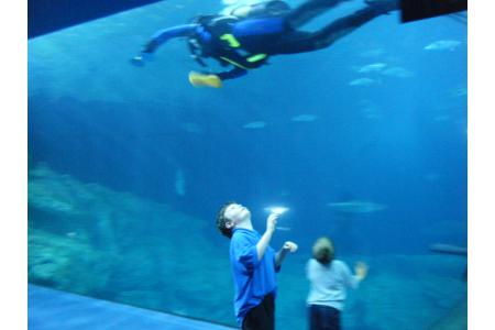 Trip to the aquarium
