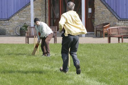 Cricket anyone
