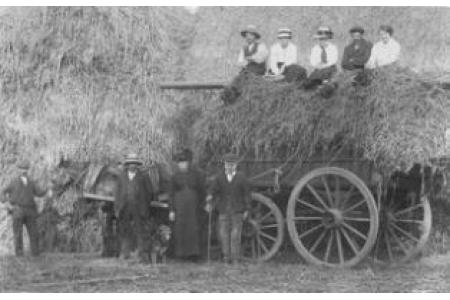Haymaking 