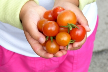 Community garden produce