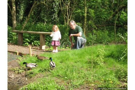 Interest for all ages
