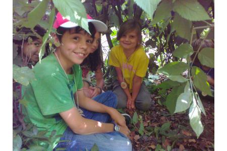 Bushcraft Shelter building