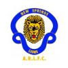 NEW SPRINGS LIONS ARLFC Logo