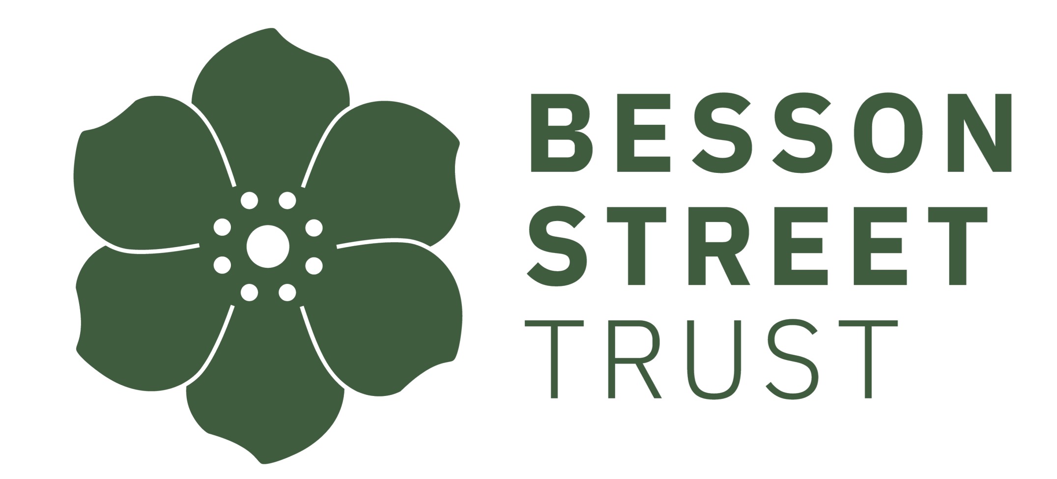 Besson Street Trust Logo