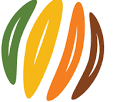 Seeds4Success Logo