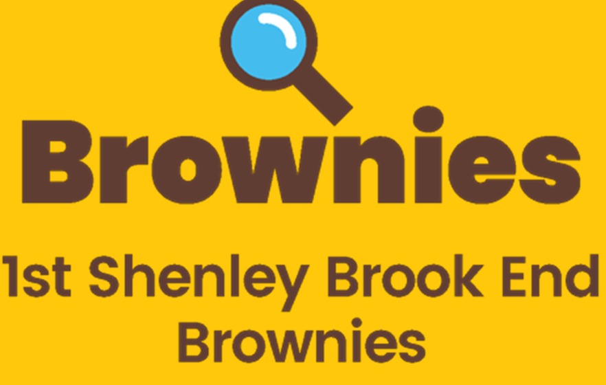 1st Shenley Brook End Brownies Logo