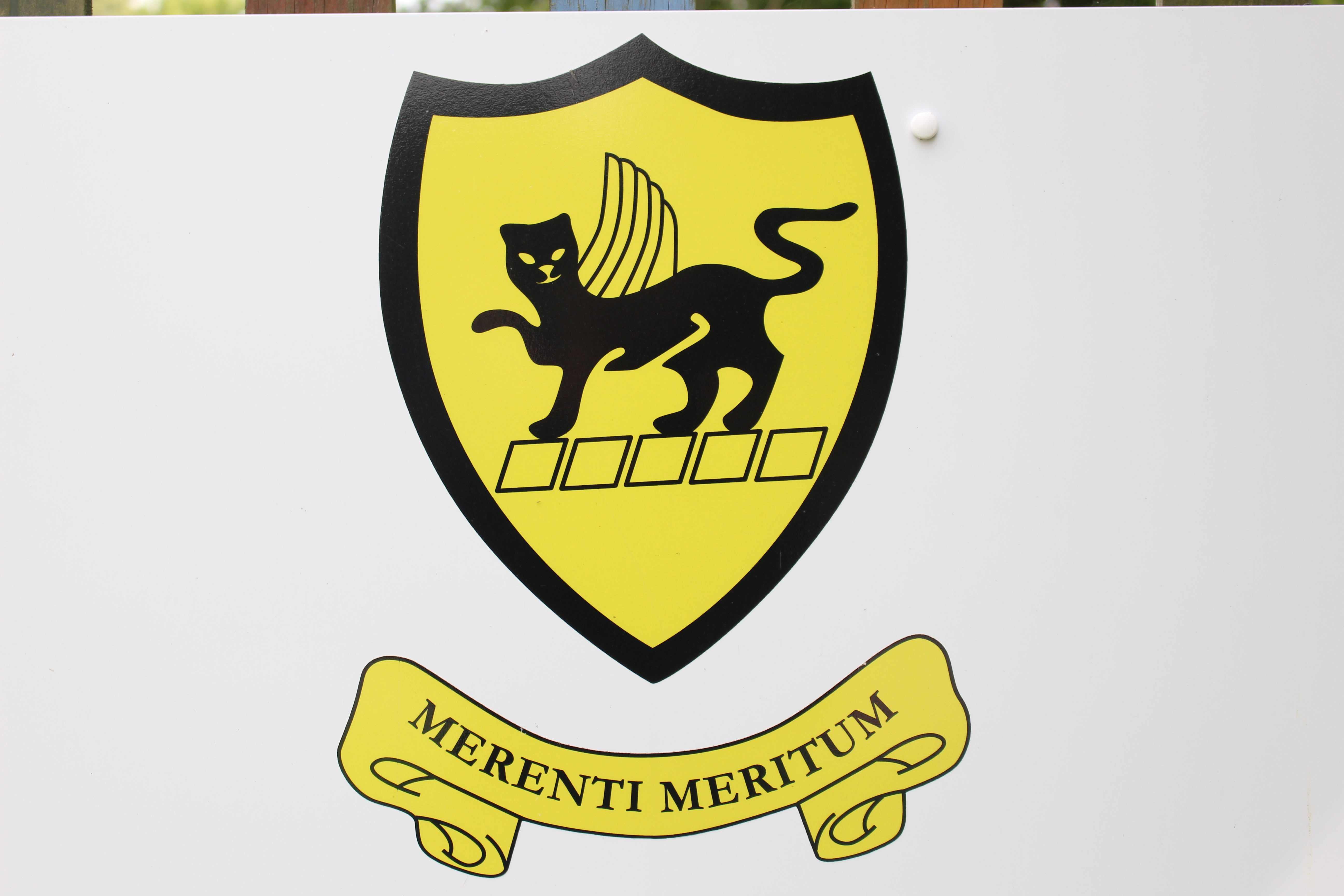 St Mark's CEP School Parent Teacher Association Logo