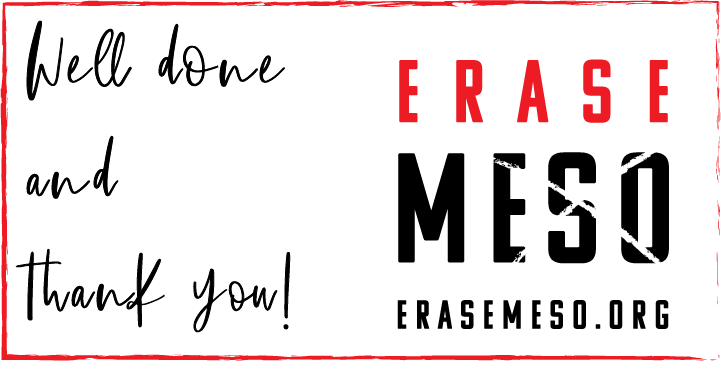 Erase Meso Logo