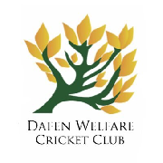 Dafen Cricket Club Logo