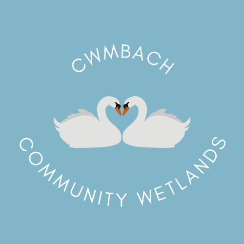 Cwmbach Wetlands Logo